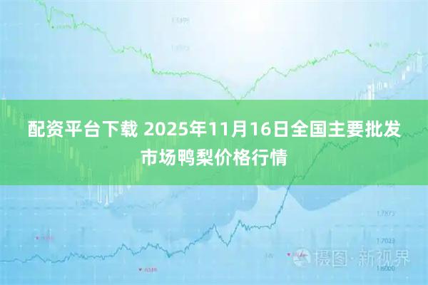 配资平台下载 2025年11月16日全国主要批发市场鸭梨价格行情